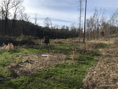 Detailed descriptions of properties available for exploration can be obtained by contacting Rathborne Vice President Gregory C. . Timber company hunting leases louisiana